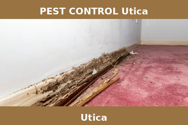 PEST CONTROL Utica
